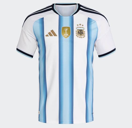 Argentina 2026 World Cup Home Jersey - Player Edition